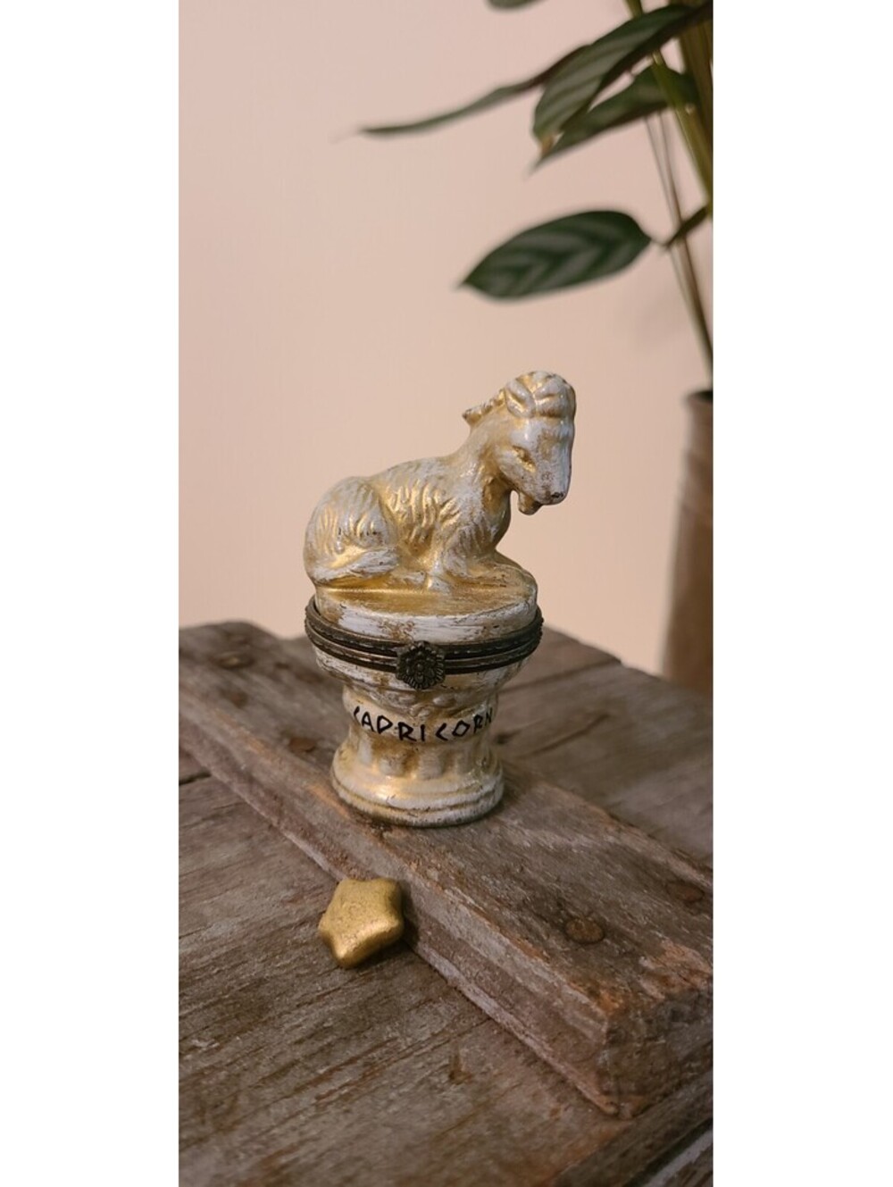 Capricorn Zodiac Trinket Box